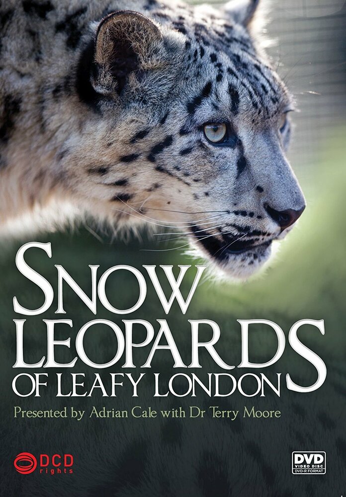 Snow Leopards of Leafy London (2013)