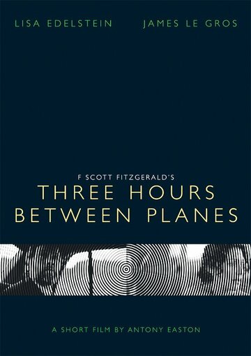 Три часа между самолётами (2013)